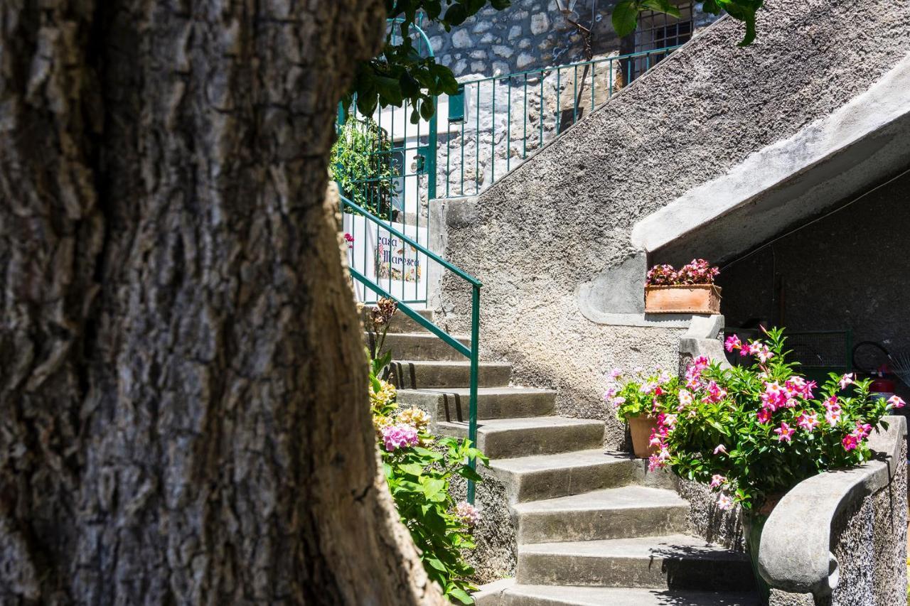 Guest house Casa Maresca